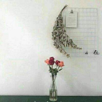 江南足球app下载手机版